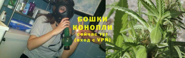 гашик Баксан