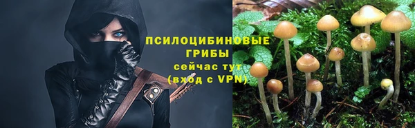 ПСИЛОЦИБИНОВЫЕ ГРИБЫ Балабаново