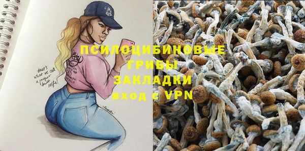ПСИЛОЦИБИНОВЫЕ ГРИБЫ Балабаново
