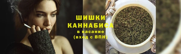 ПСИЛОЦИБИНОВЫЕ ГРИБЫ Балабаново