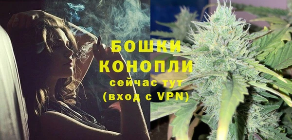 ПСИЛОЦИБИНОВЫЕ ГРИБЫ Балабаново