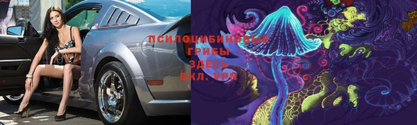 гашик Баксан